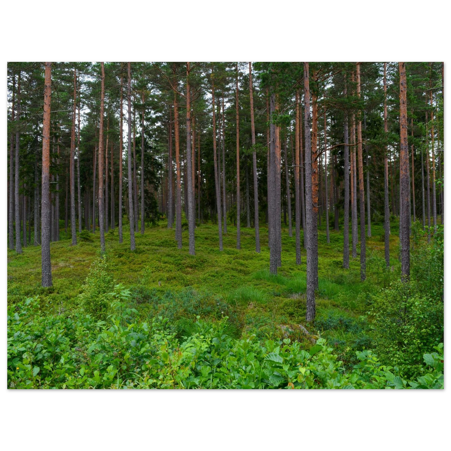 ee0779e4-1343-4d68-b8d5-c94796cd64e4