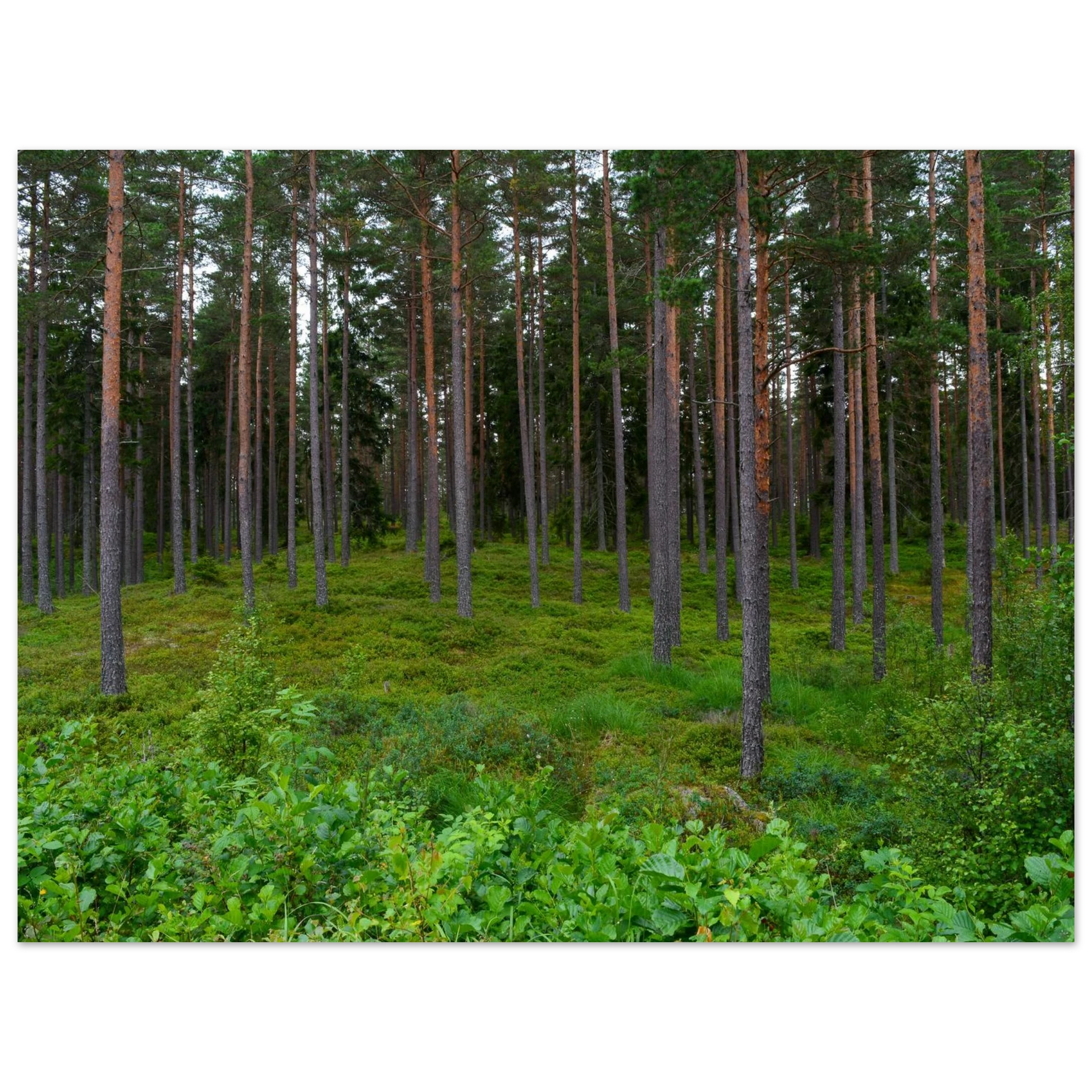 ee0779e4-1343-4d68-b8d5-c94796cd64e4